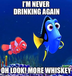 Never drinking again meme