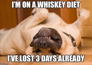 I'm on a whiskey diet meme